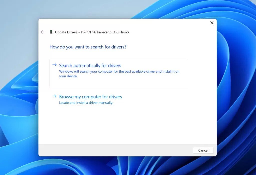 Data Recovery After I/O Error? Steps to Save Your Files